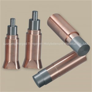 Custom Polished Molybdenum Electrodes Bar Molybdenum Rod