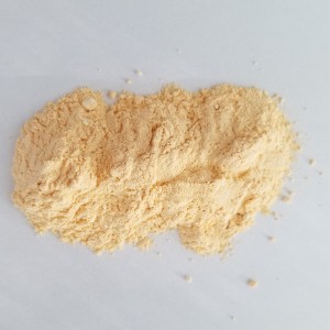 Molybdenum trioxide catalyst powder